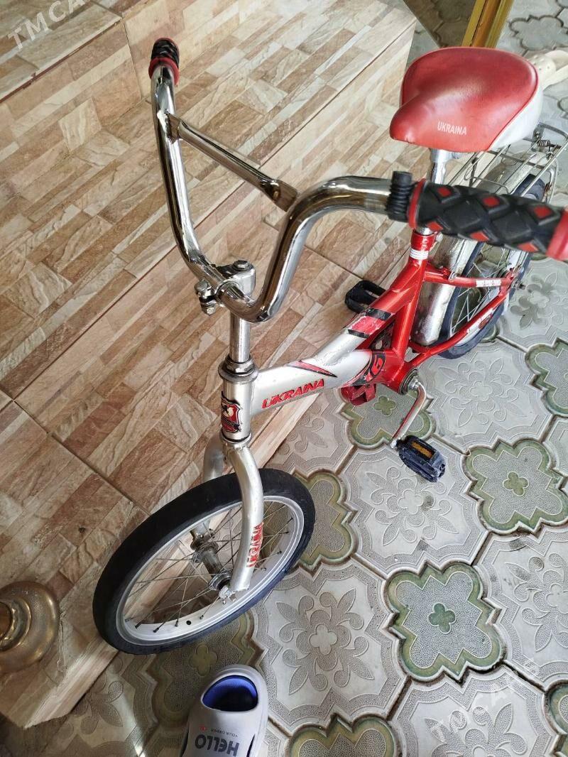 Tigir, Welisoped - Мары - img 2