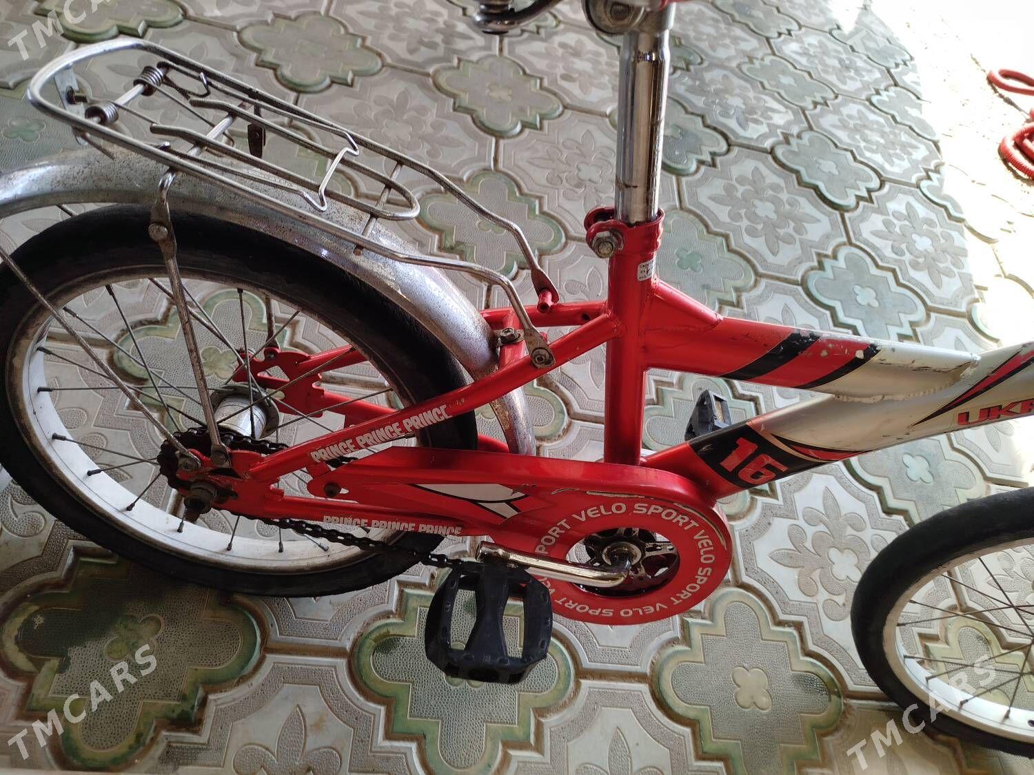 Tigir, Welisoped - Мары - img 3