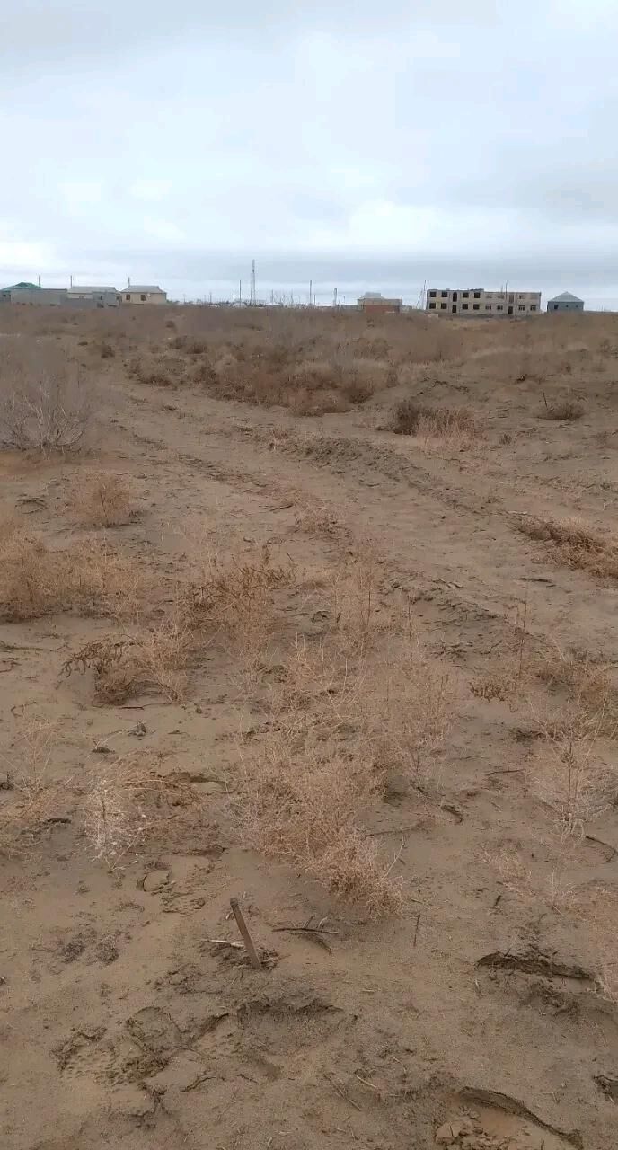 Boş mellek - Шатлык - img 5