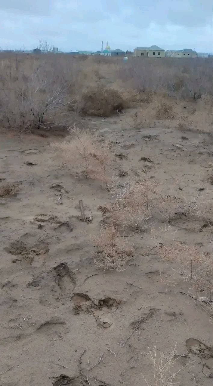 Boş mellek - Шатлык - img 6