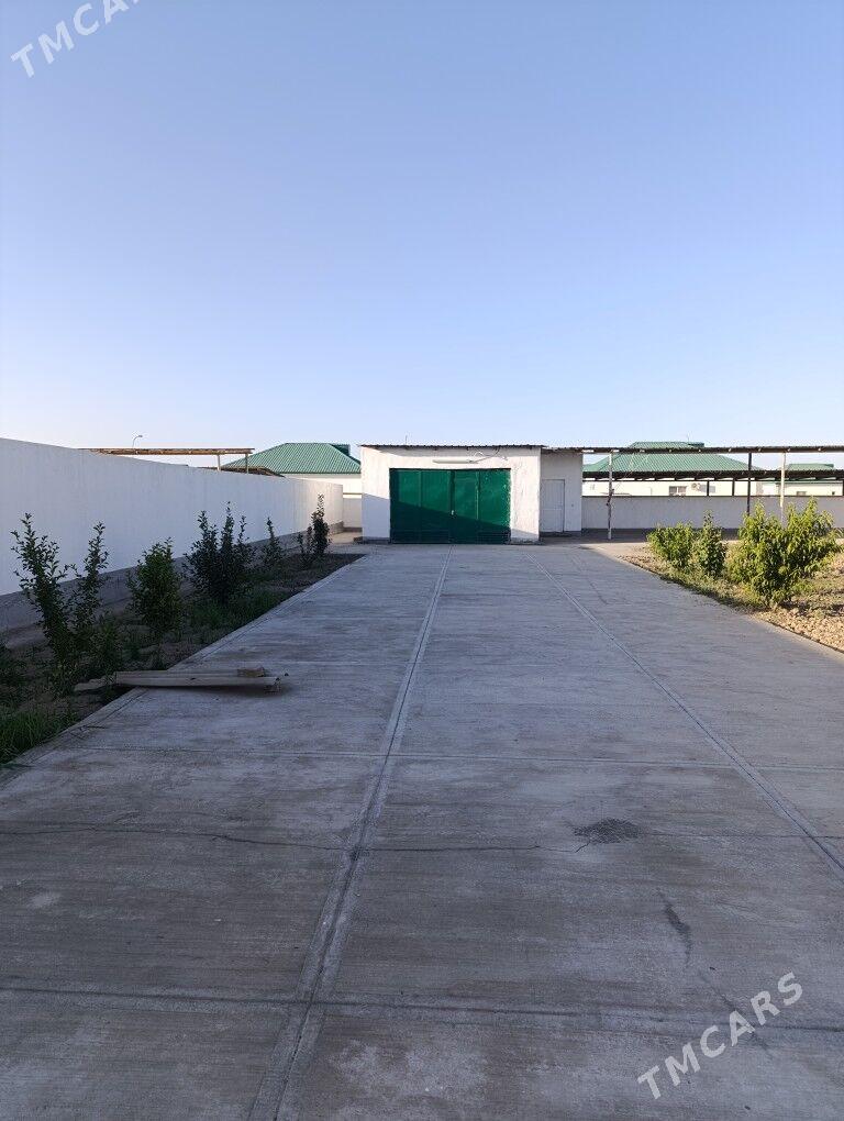 Arenda Gokdepe - Гёкдепе - img 2