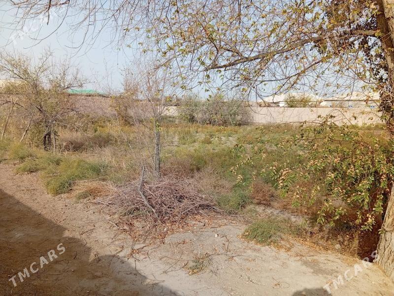 план жай - Болдумсаз - img 4