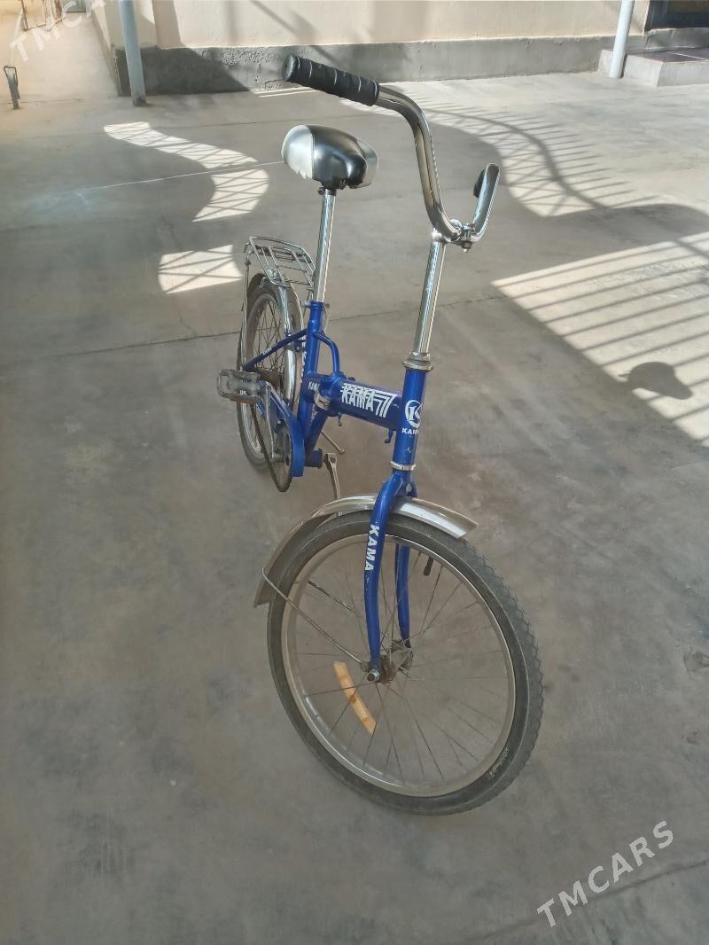 Kama tigir - Gypjak - img 1