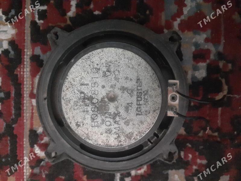 Gapy kalonka - Daşoguz - img 3