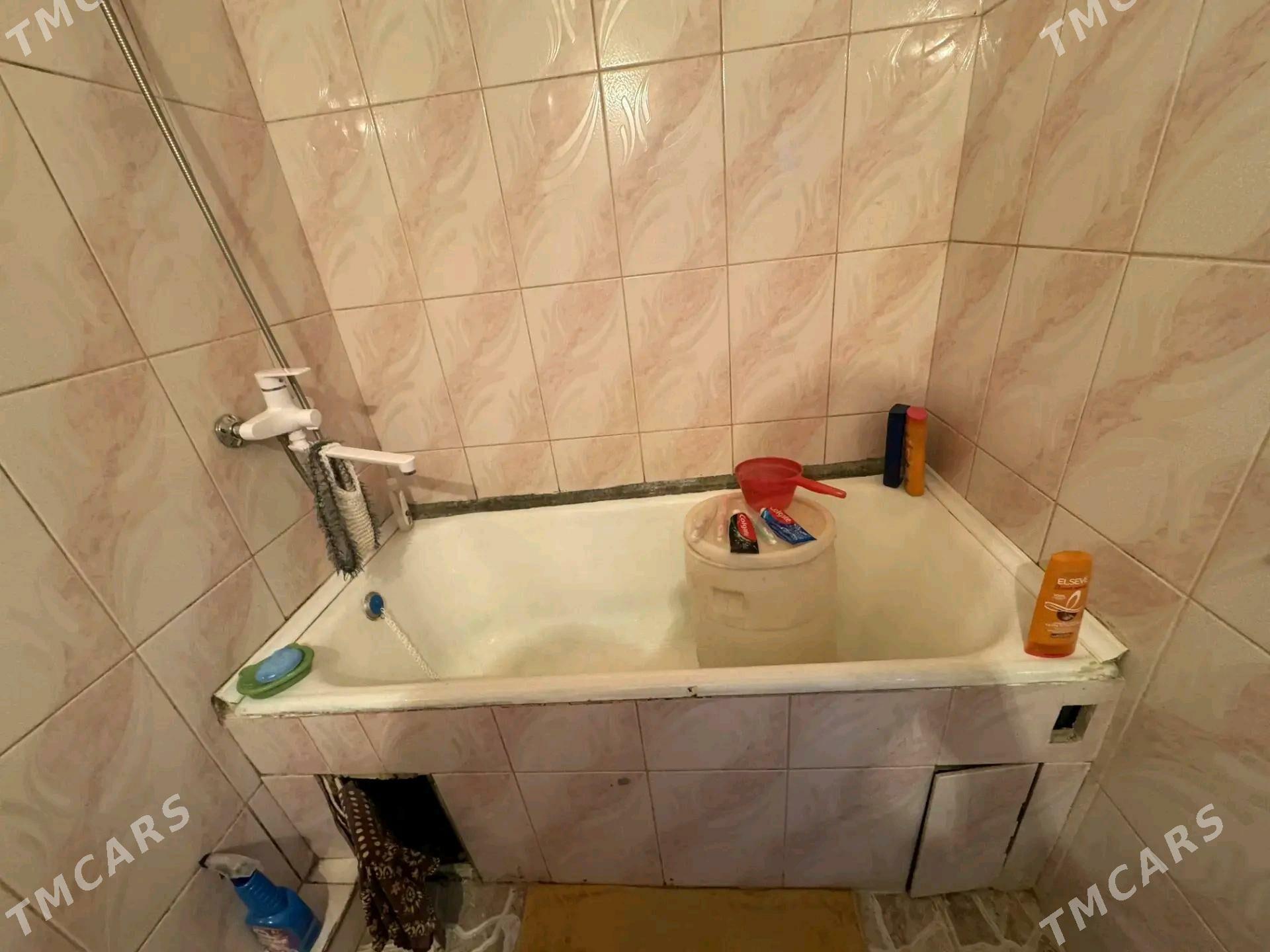 Satlyk jay - Мары - img 2