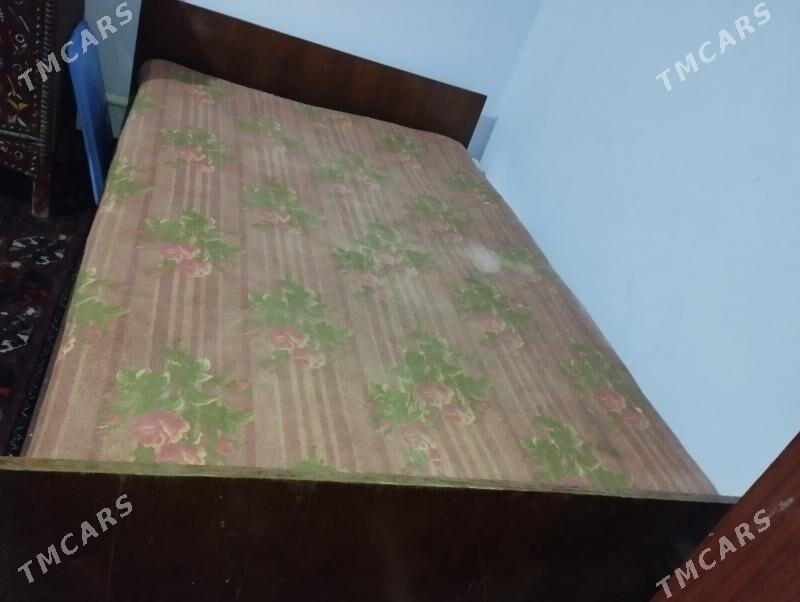 Spalny rassiski - Halaç - img 1