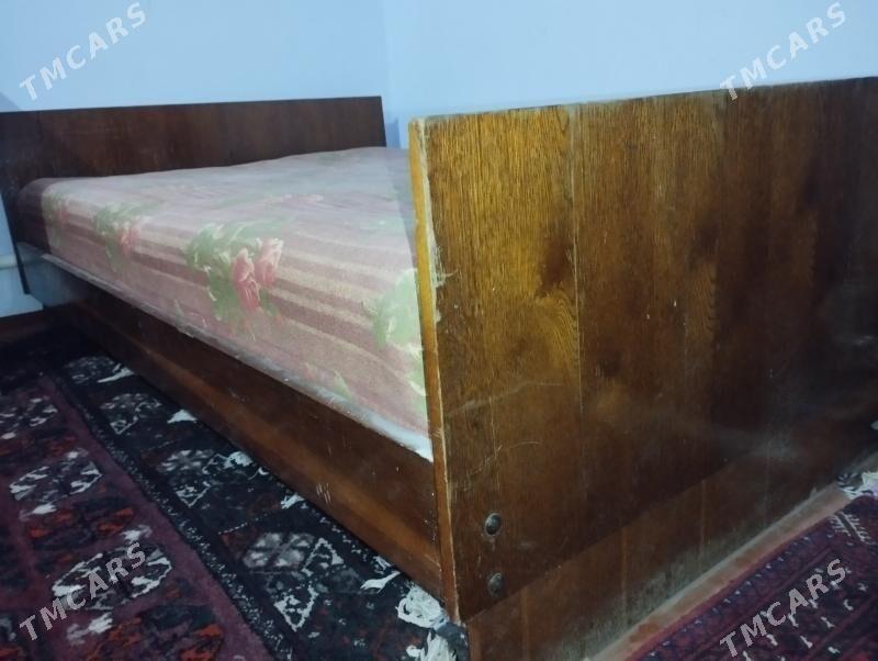 Spalny rassiski - Halaç - img 2