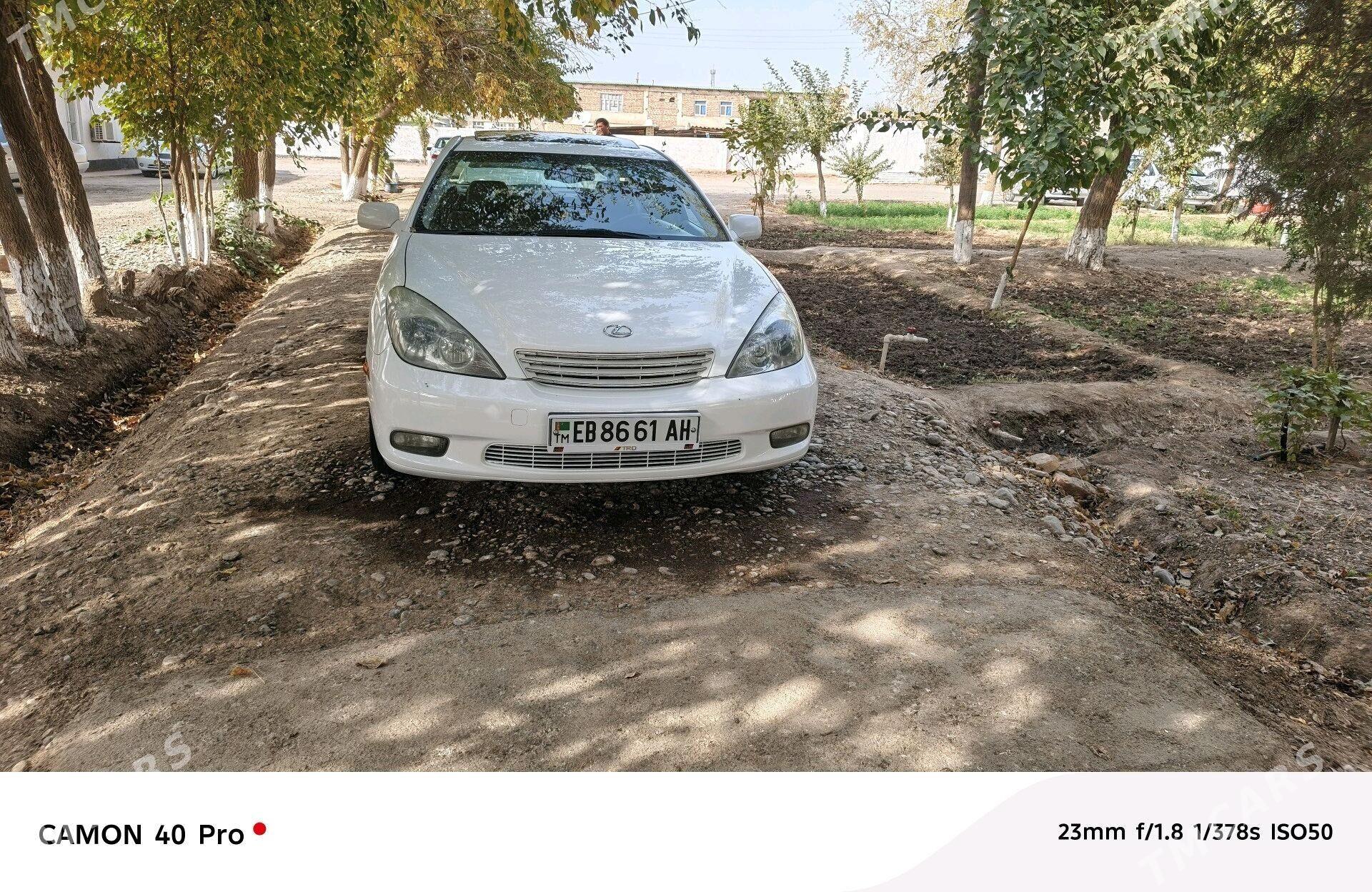 Lexus ES 330 2004 - 175 000 TMT - Änew - img 3