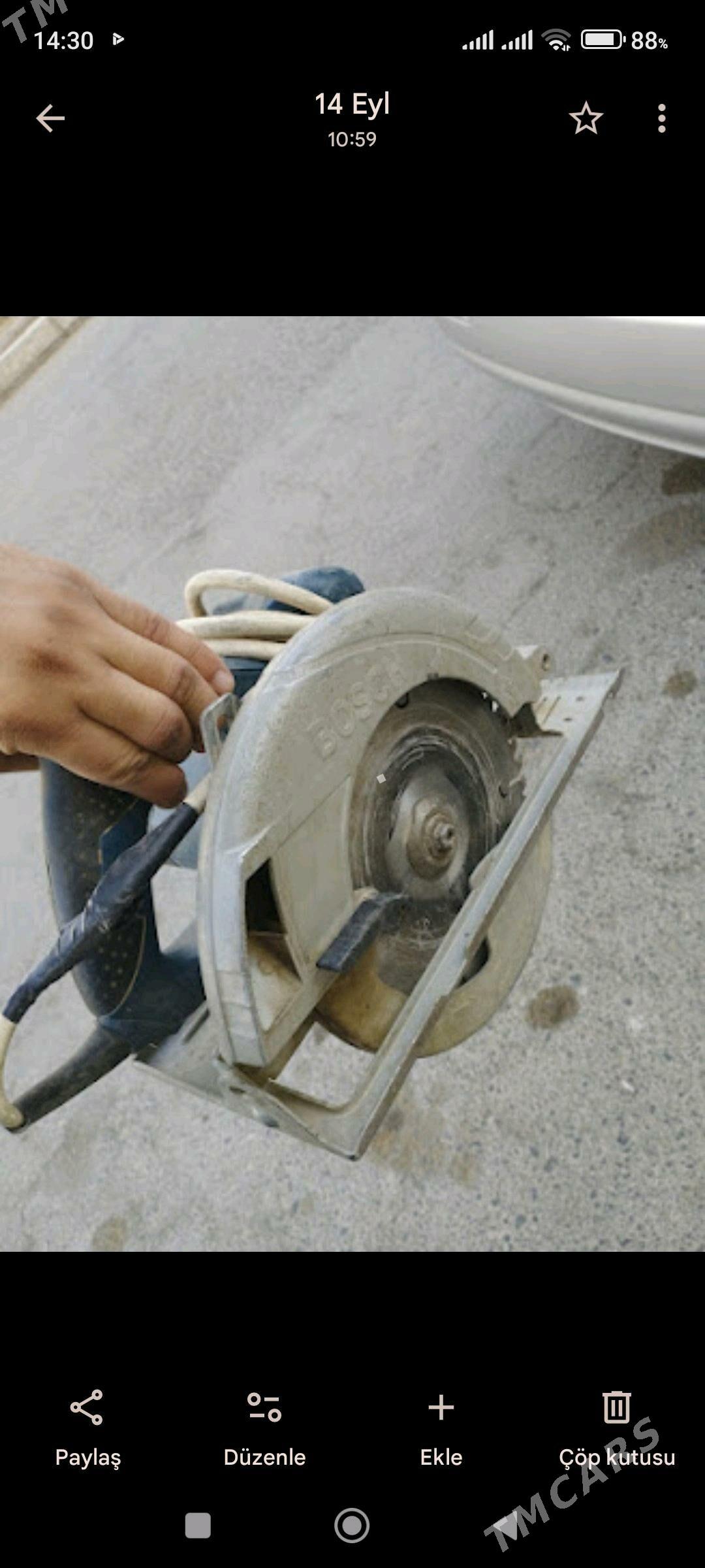 Dayra Bosch Desbe kesilyan - Tejen - img 2