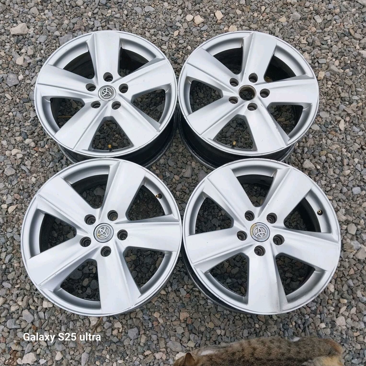 17lik diska 1 000 TMT - Gyzylarbat - img 2