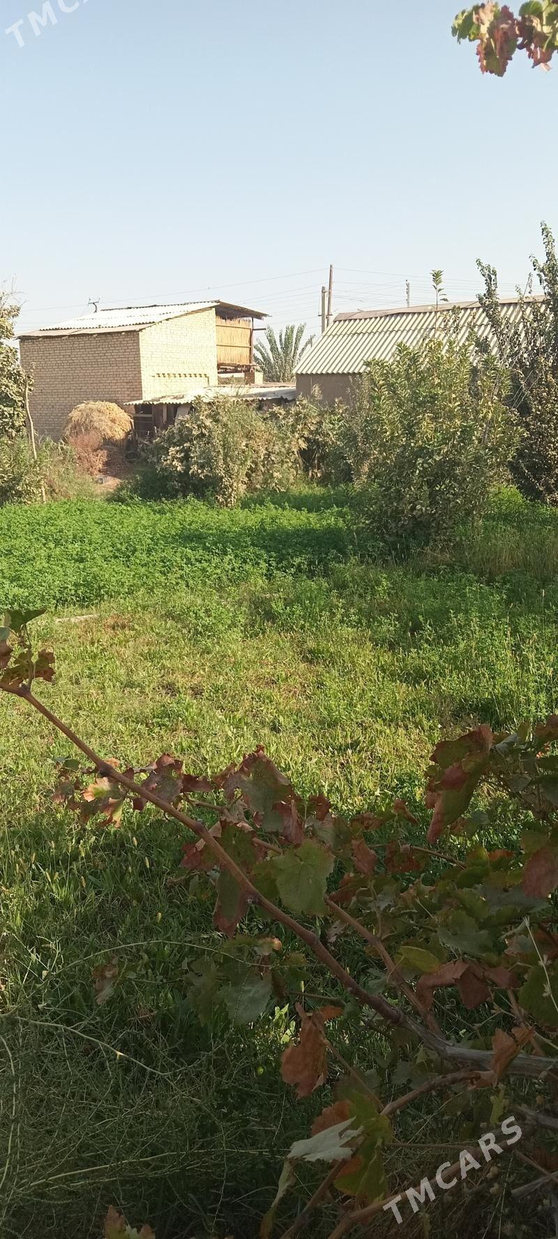 Boş mellek ÿer - Мары - img 3