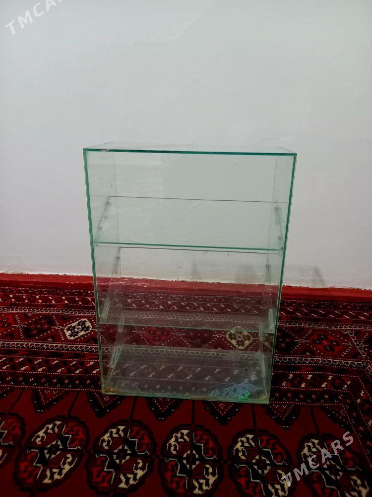 polka - Ашхабад - img 3