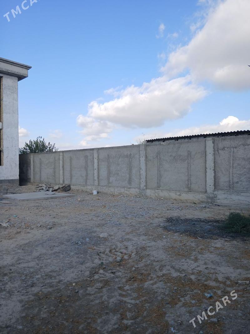 Taze Gami - Aşgabat - img 5