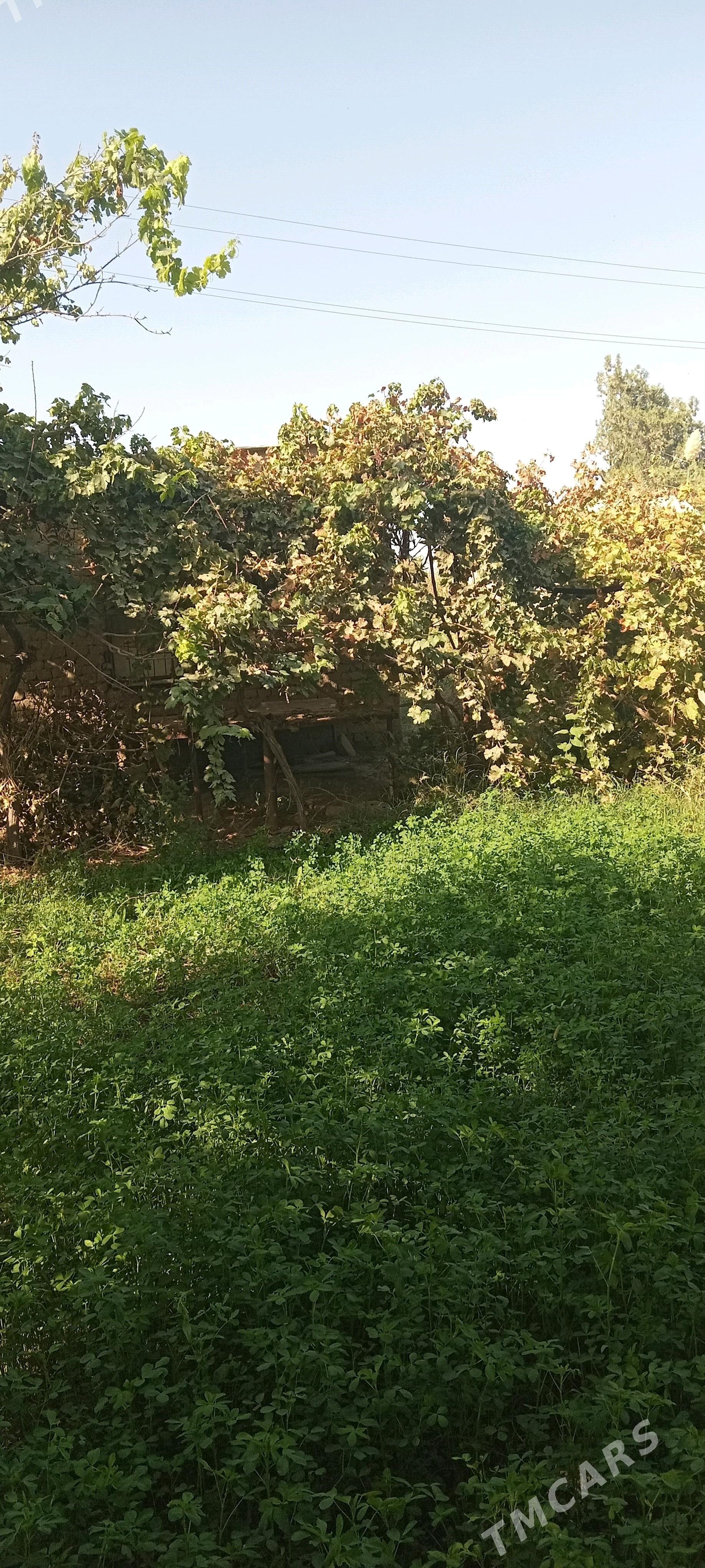 Boş mellek ÿer - Мары - img 2