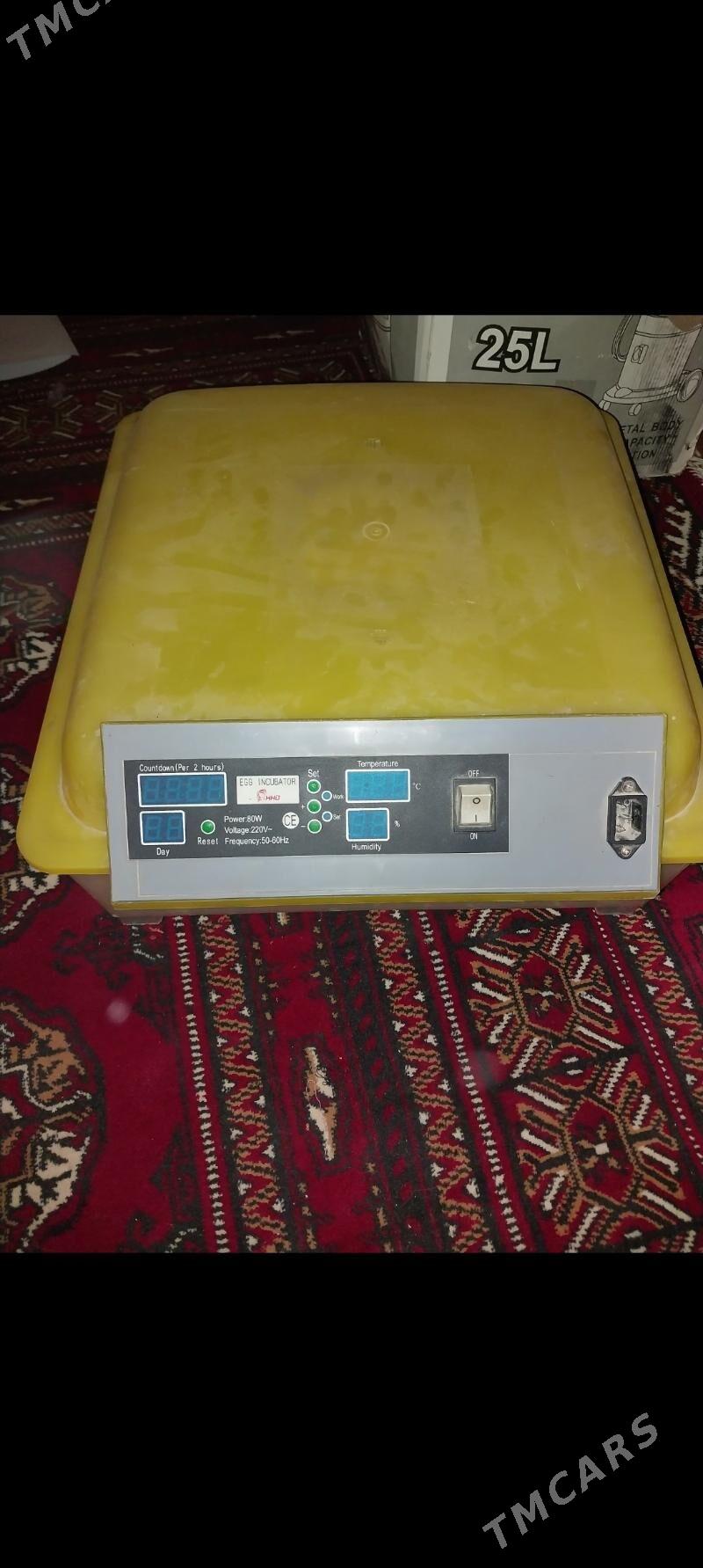 inkabator - Şabat etr. - img 1