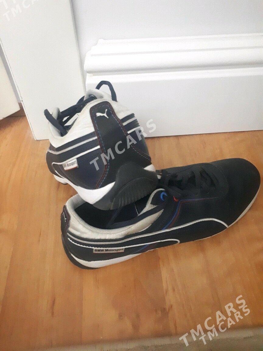 Puma - Кëши - img 1