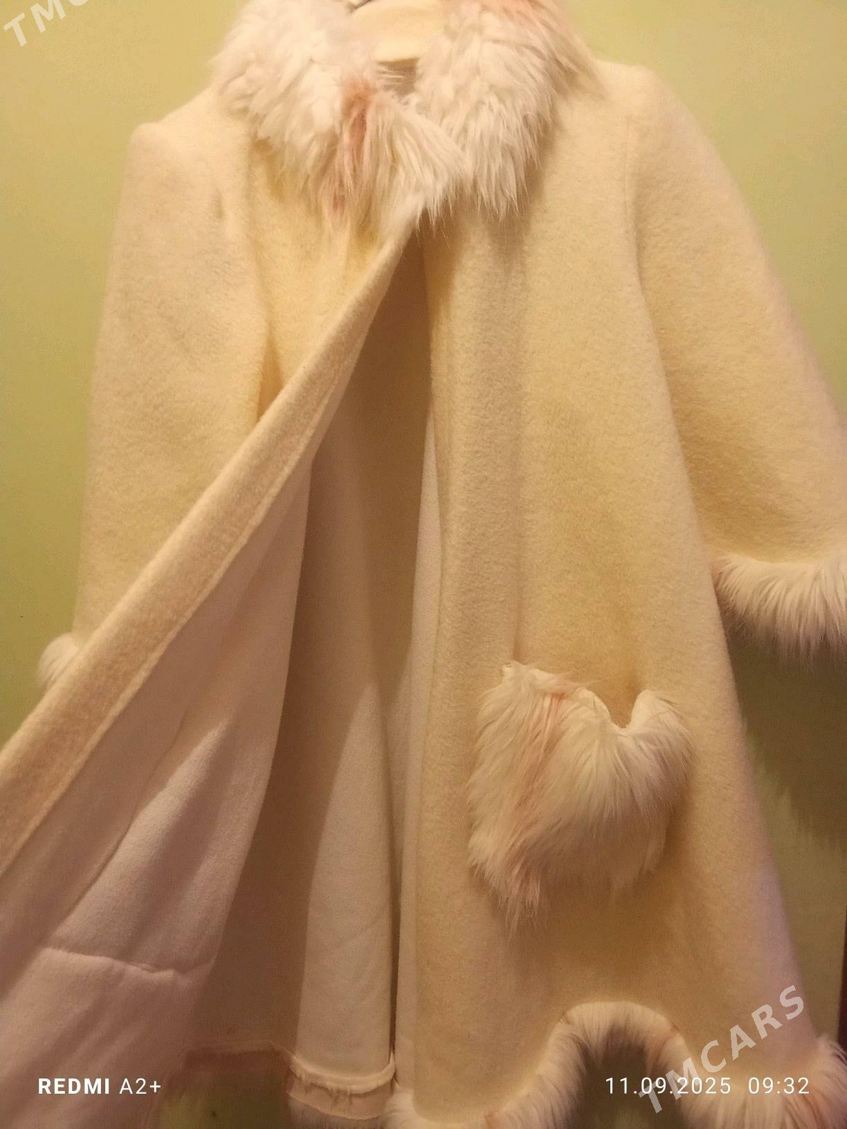 palto - Чарджоу - img 4