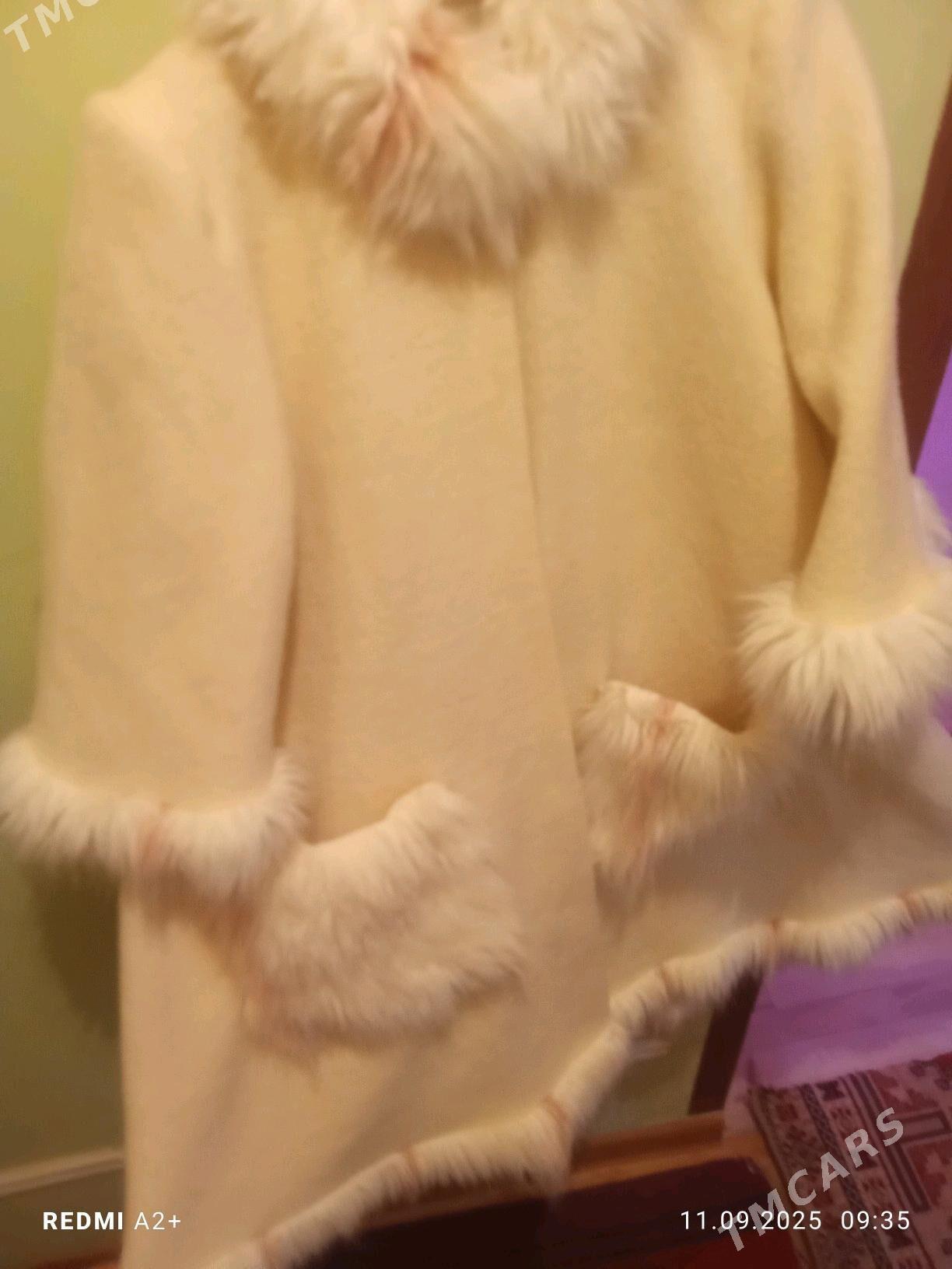 palto - Чарджоу - img 2