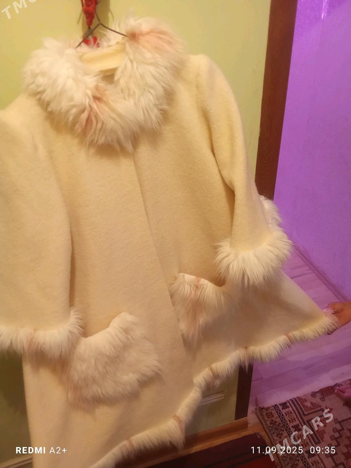 palto - Чарджоу - img 3