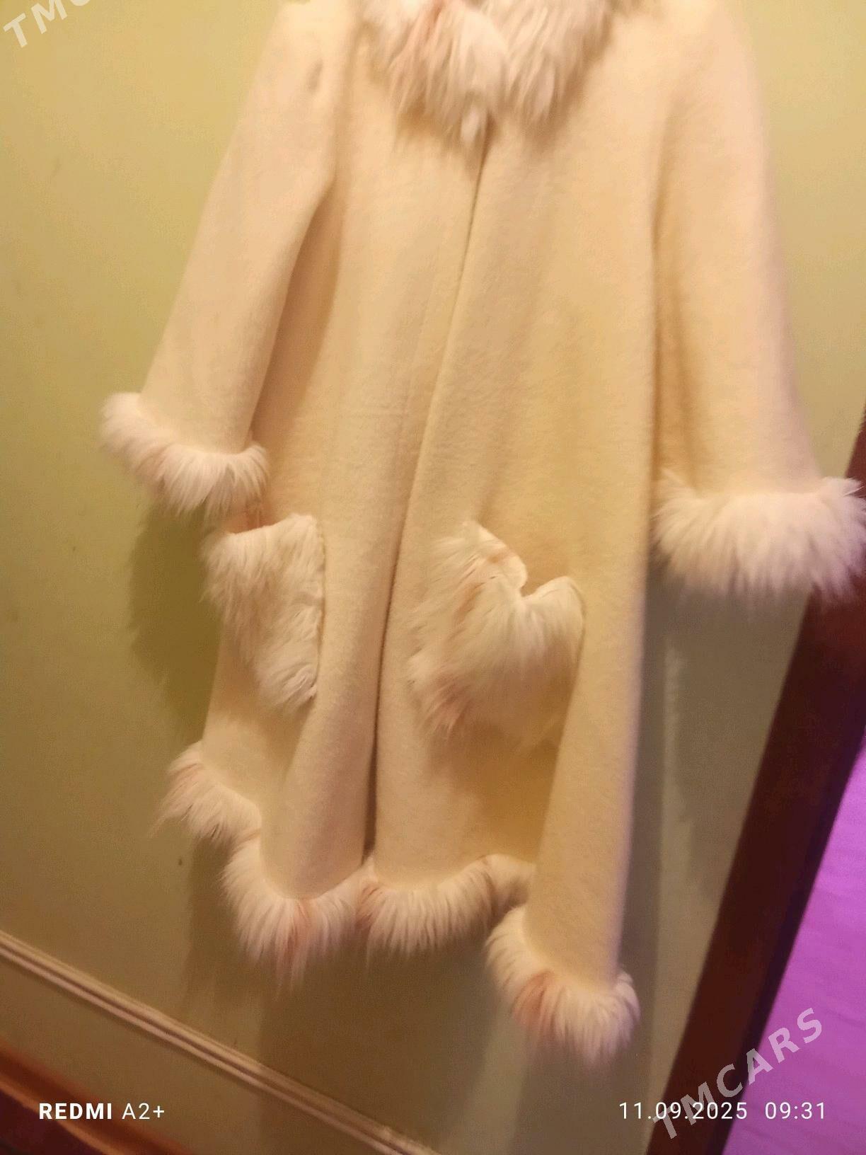 palto - Чарджоу - img 5