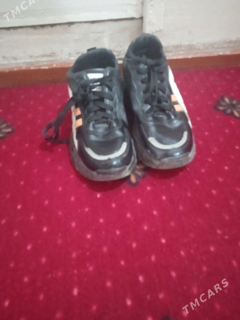 krasofkalar - Туркменабат - img 2