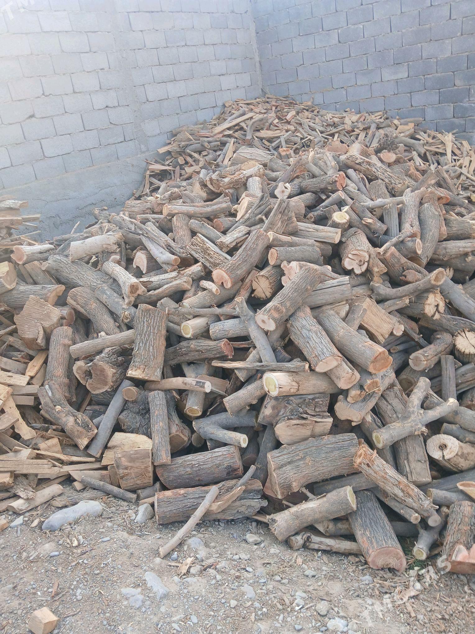 Agaç yeşşik odun - Gökdepe - img 1