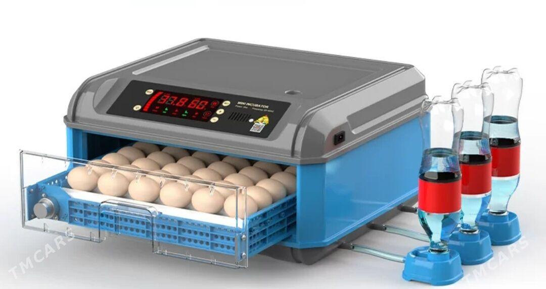 Inkubator - Aşgabat - img 2