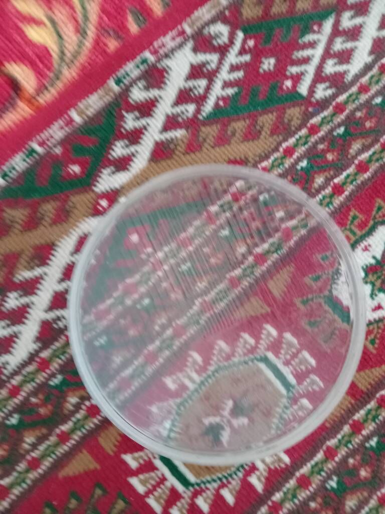 Uaz far jajek 30 TMT - Balkanabat - img 2