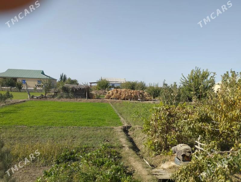 Satlyk jaý - Ходжамбаз - img 2