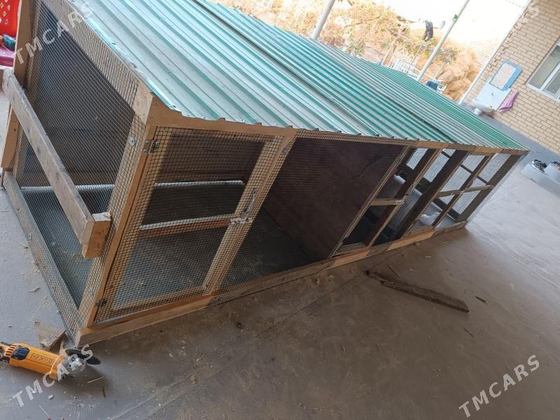 towuk juyje ketek - Туркменабат - img 2