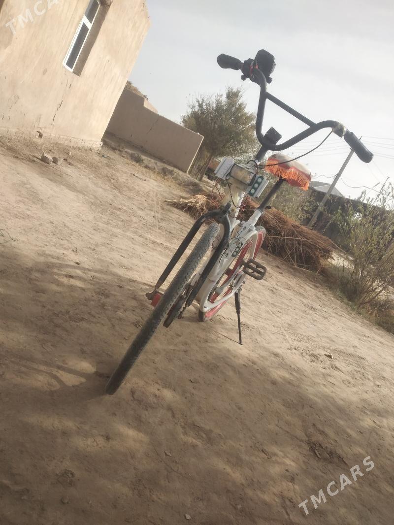 welsepedwelseped - Гороглы (Тагта) - img 2