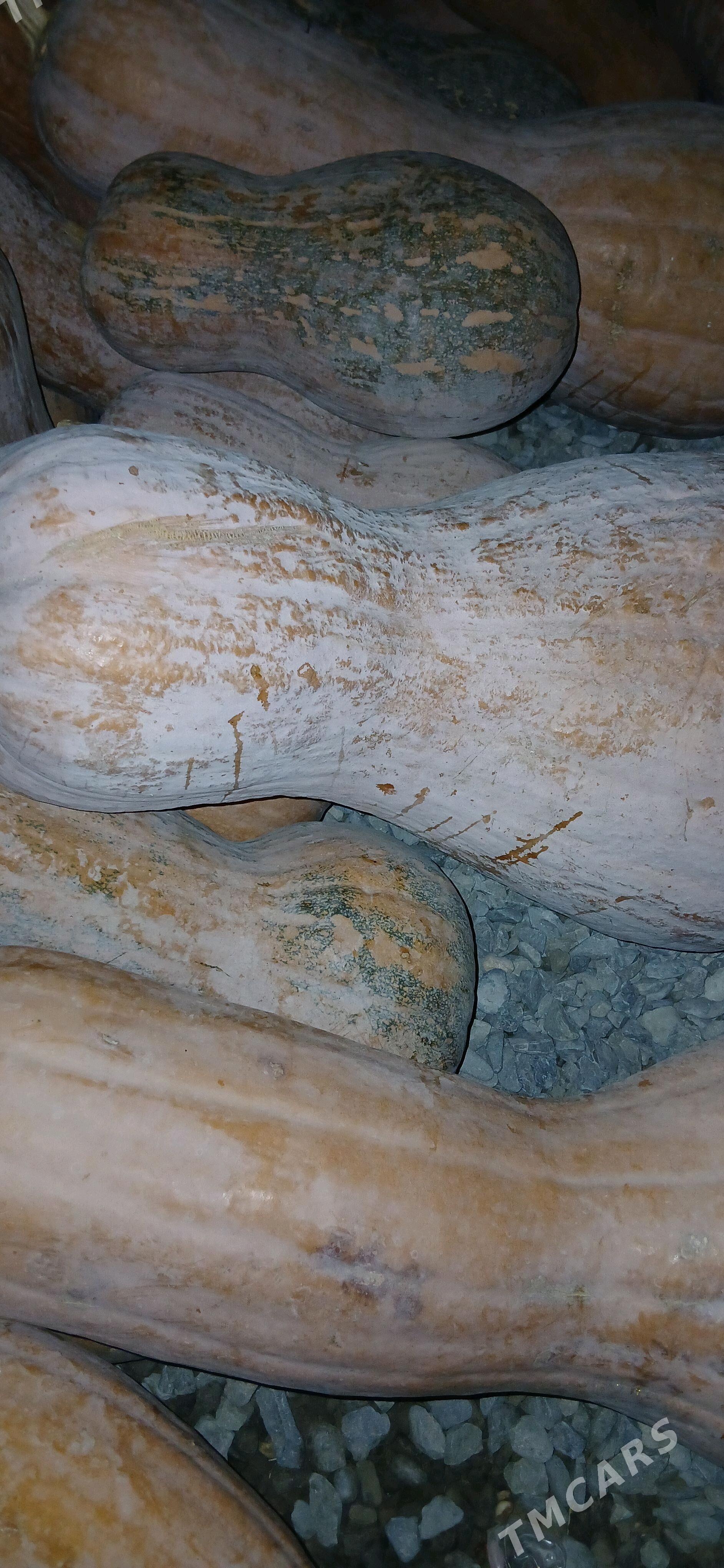 kadı - Бахарден - img 2