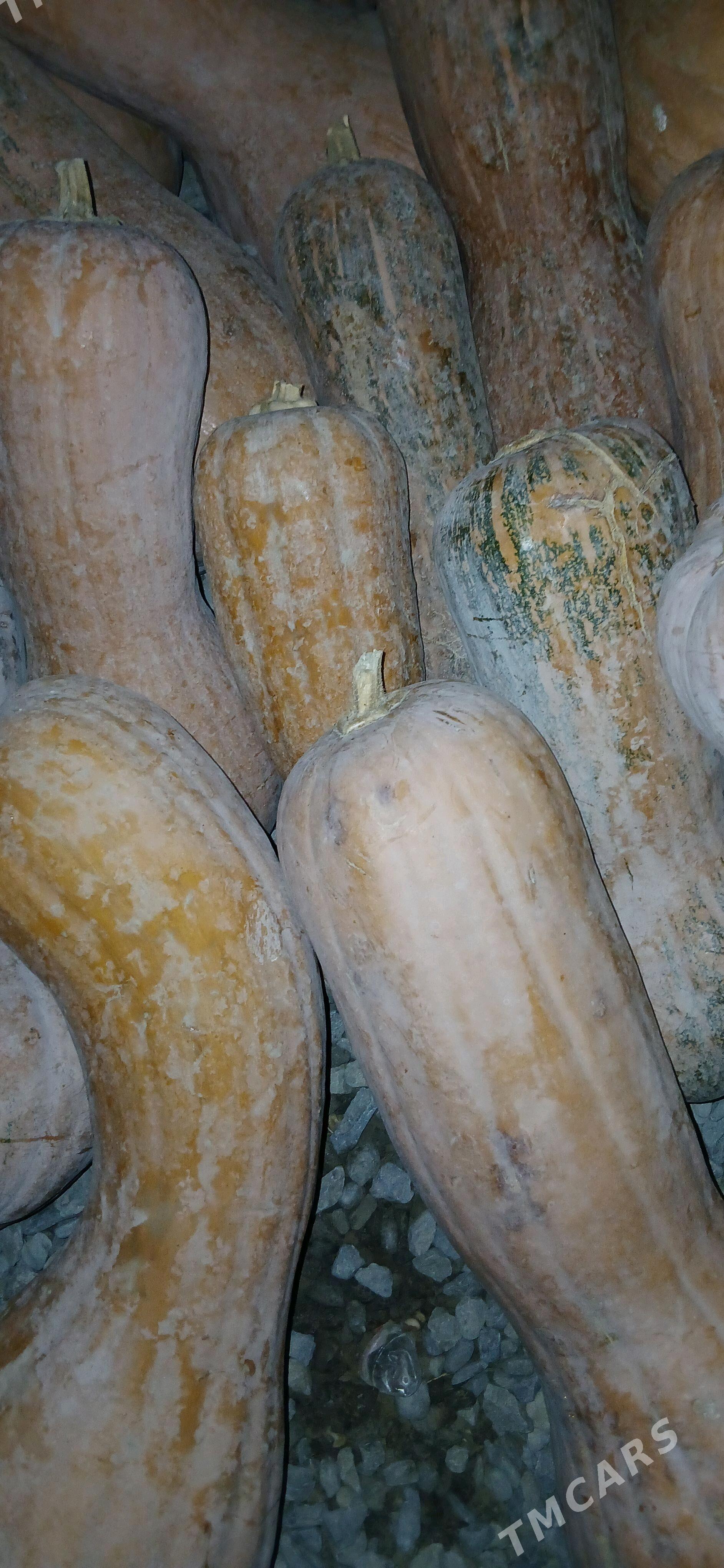 kadı - Бахарден - img 1