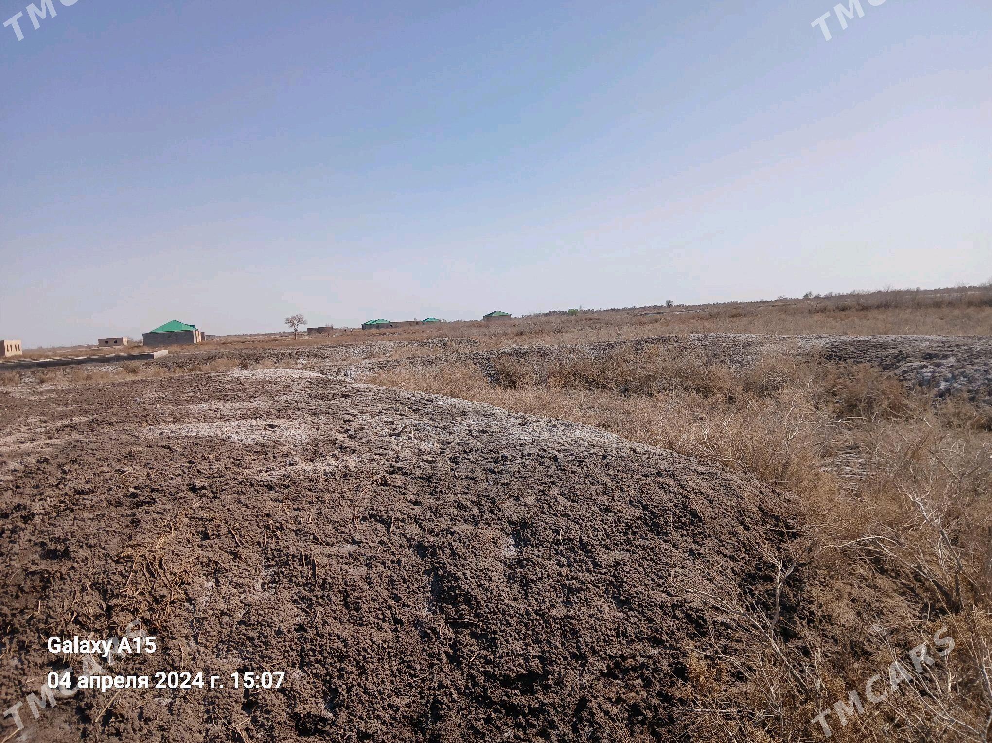 Jay orun - Boldumsaz - img 3