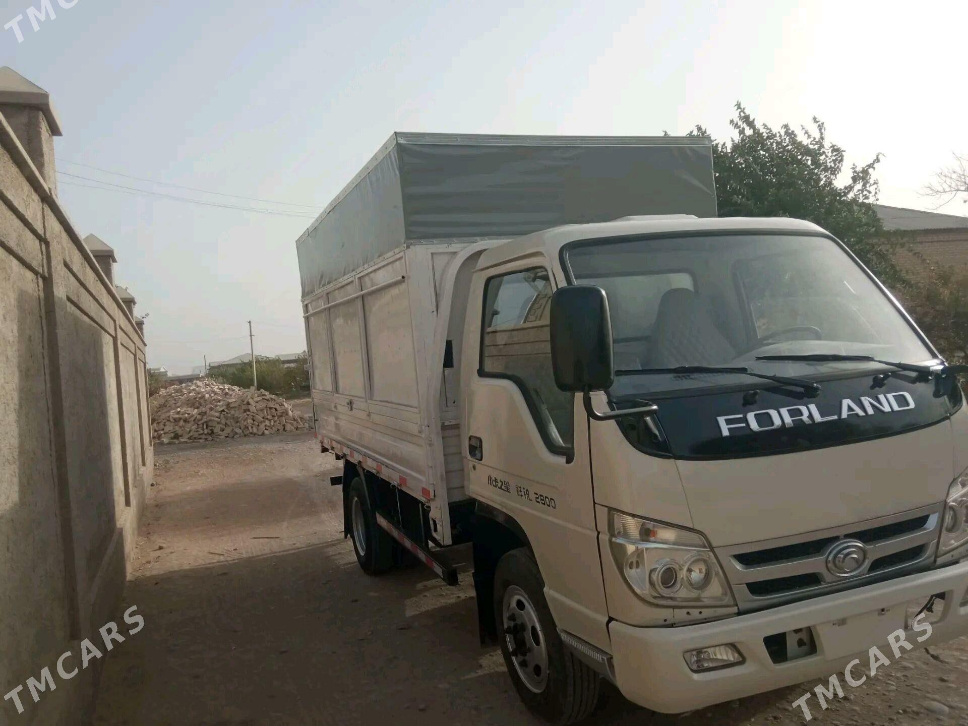 Forland H2 2010 - 85 000 TMT - Mary - img 3