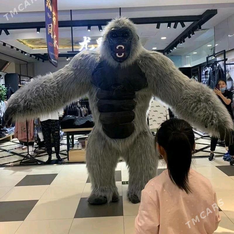 Gorilla Maymyl satlyar - Daşoguz - img 3