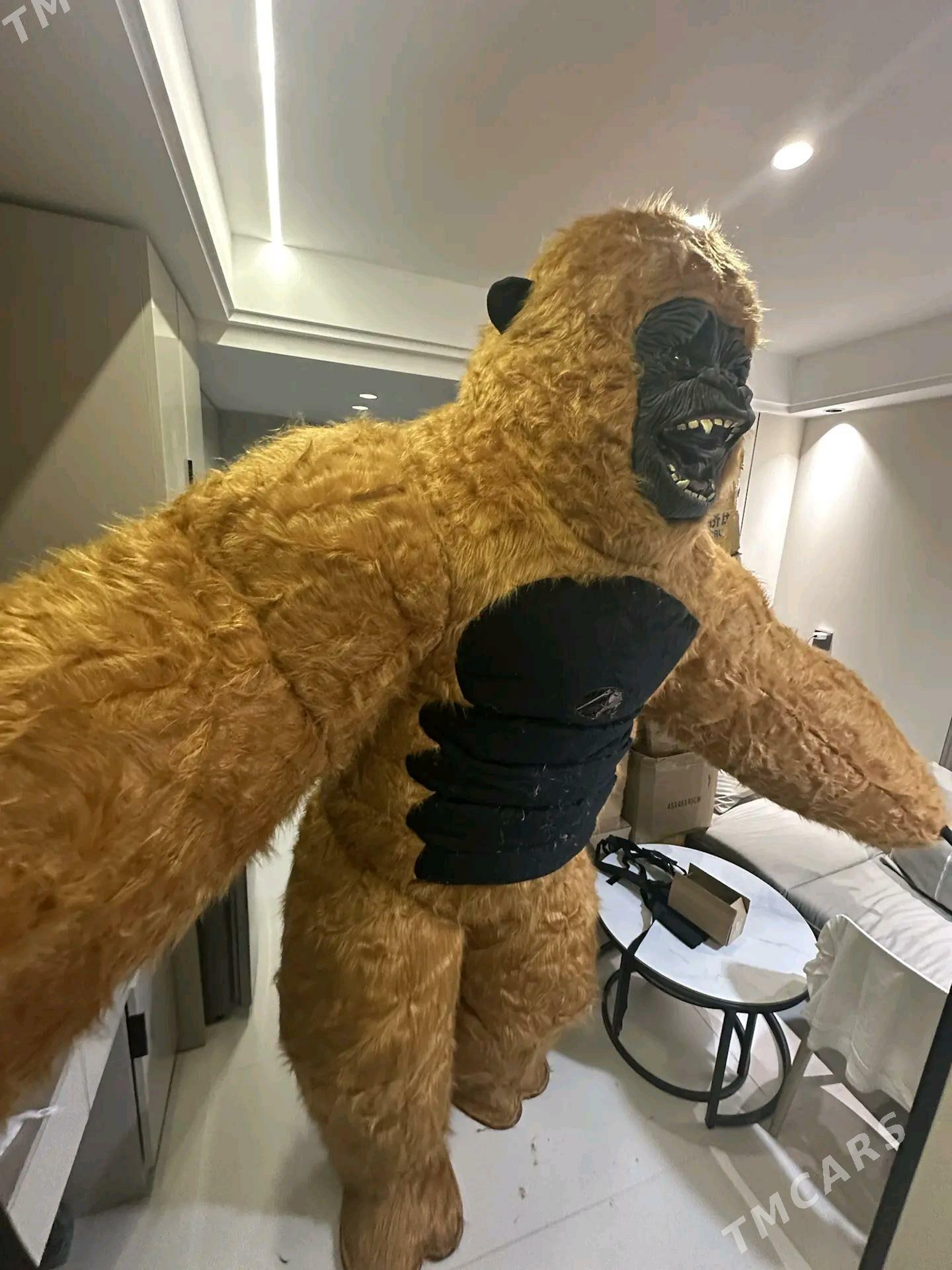 Gorilla Maymyl satlyar - Daşoguz - img 1