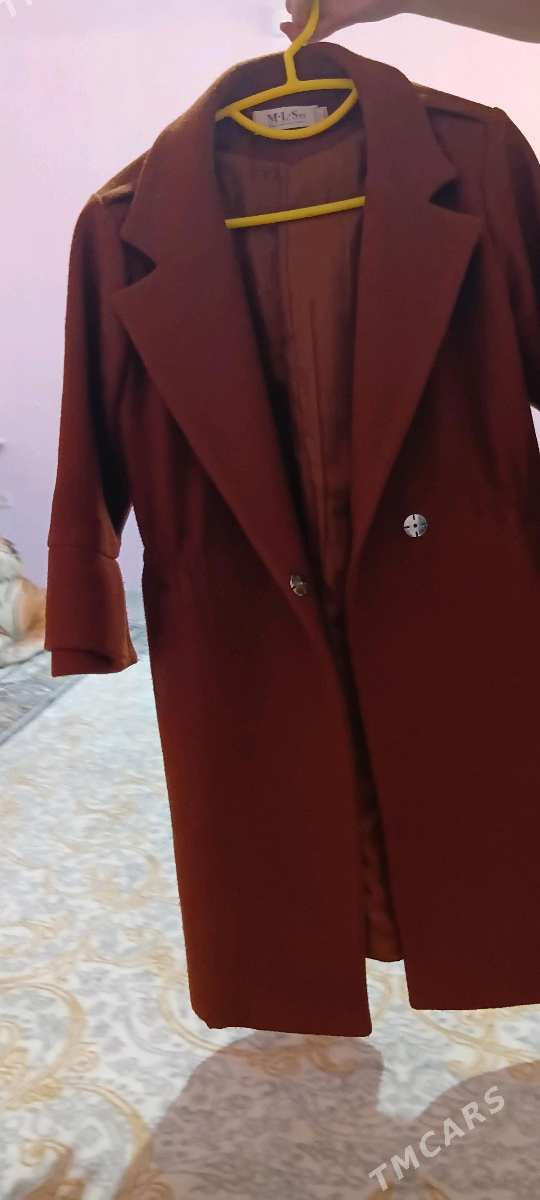 palto - Джебел - img 1