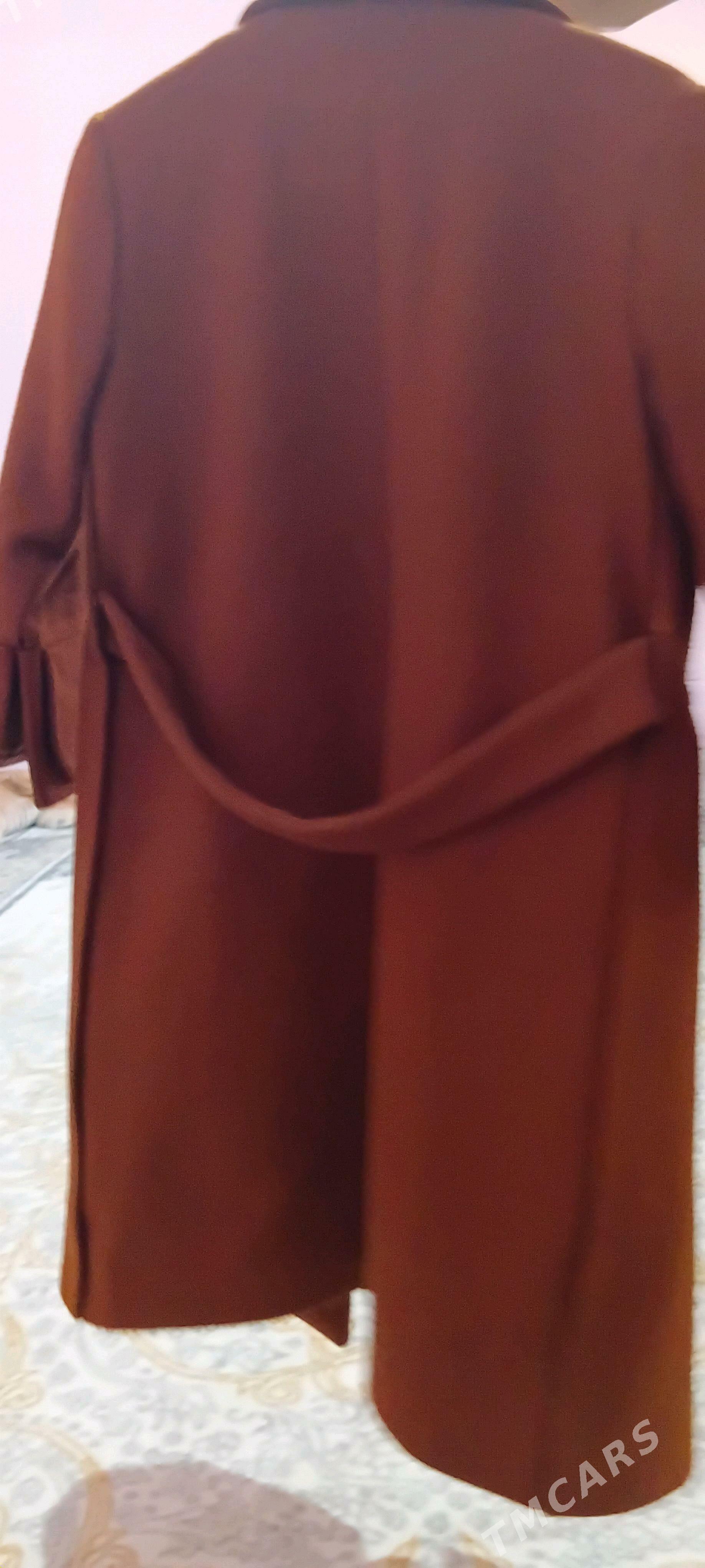 palto - Джебел - img 2