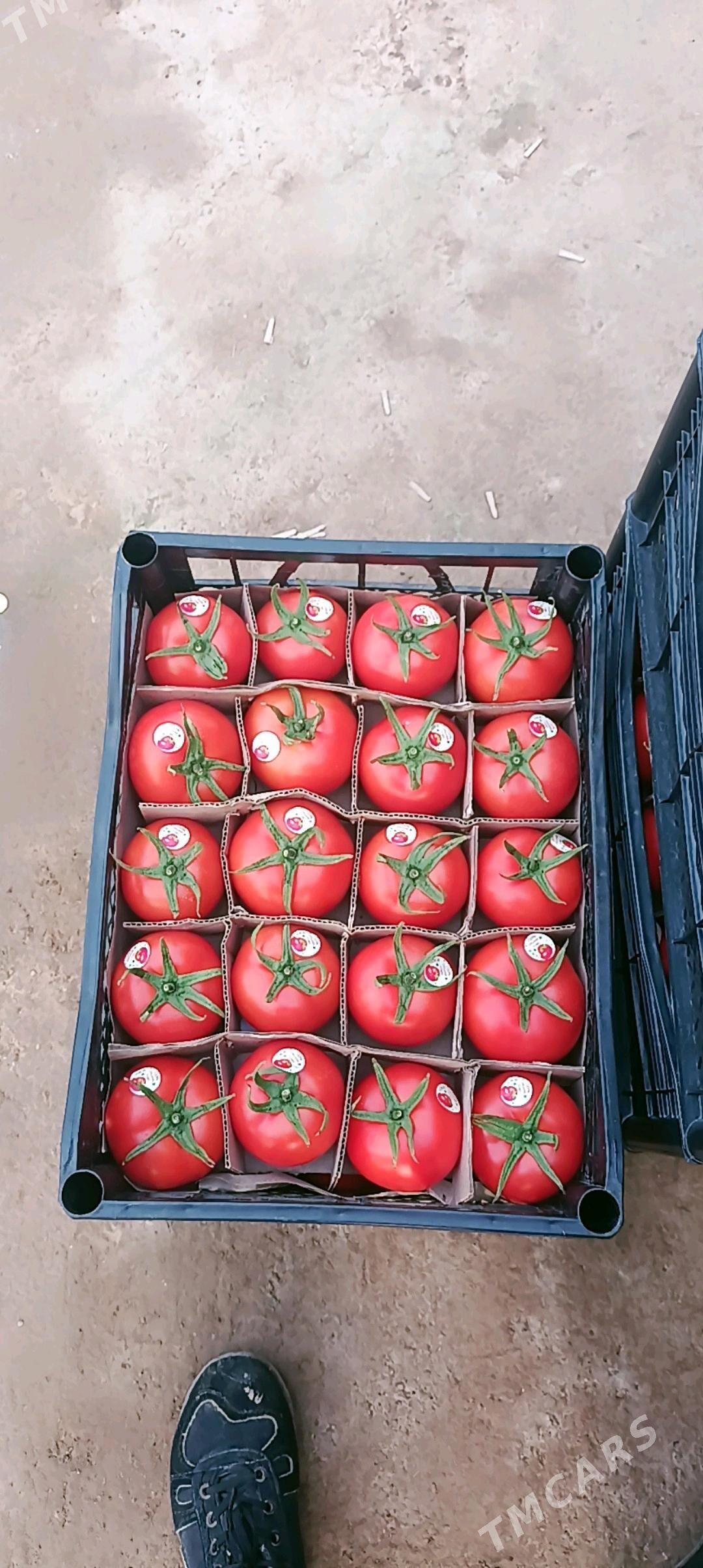 ISGAR ALYAS - Гёкдже - img 2