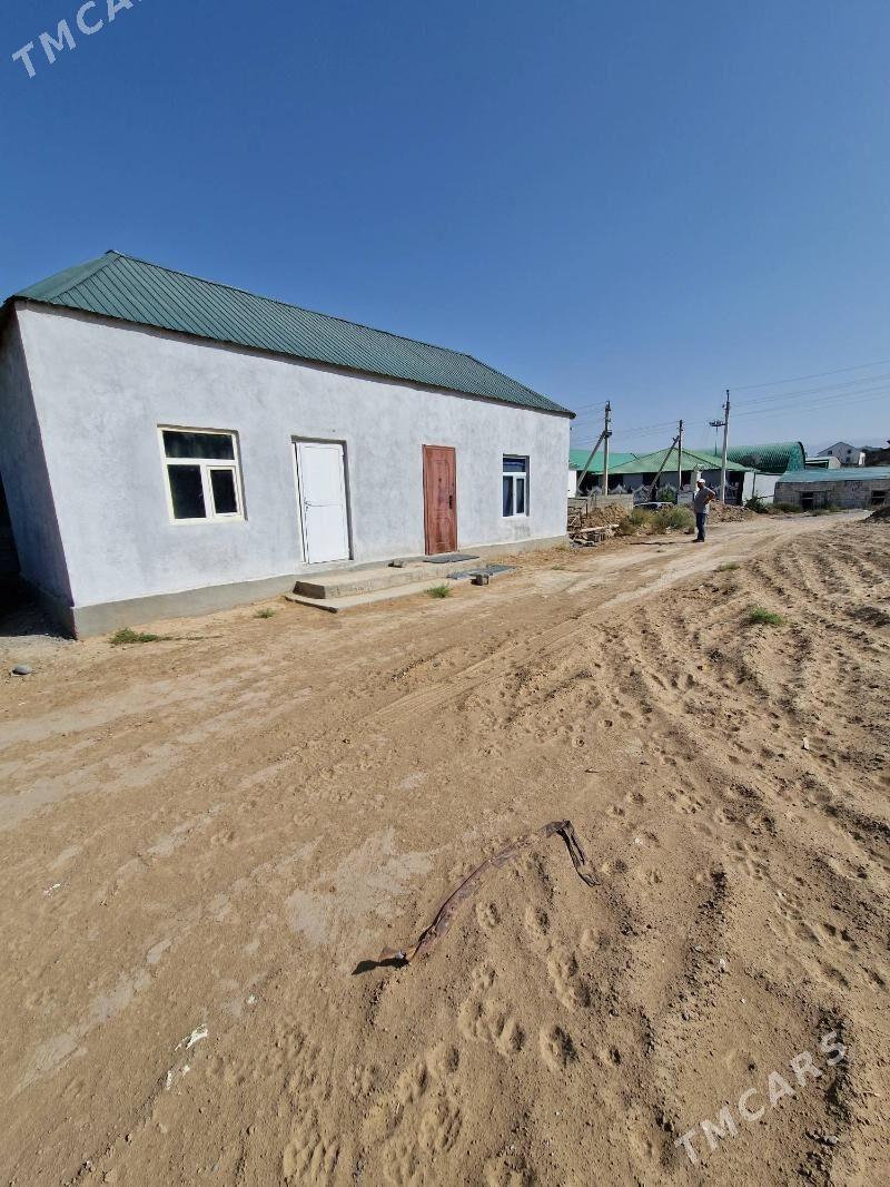 Satlyk plan - Анев - img 3