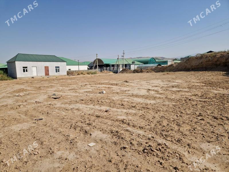 Satlyk plan - Анев - img 2