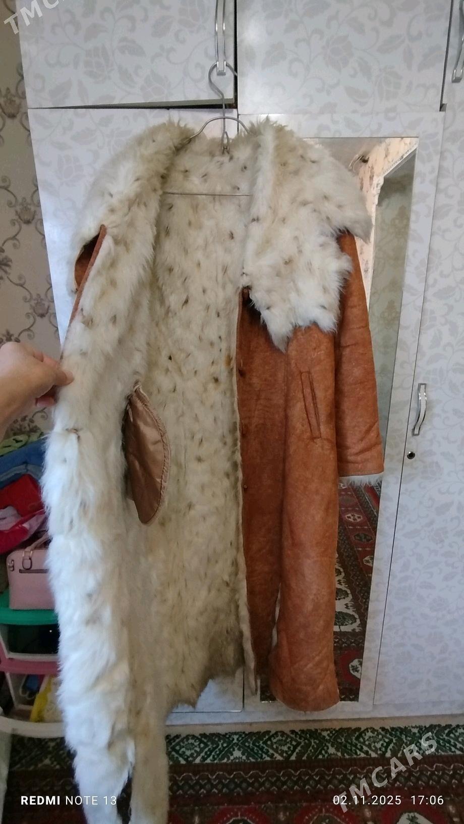 śuba - 11 mkr - img 4