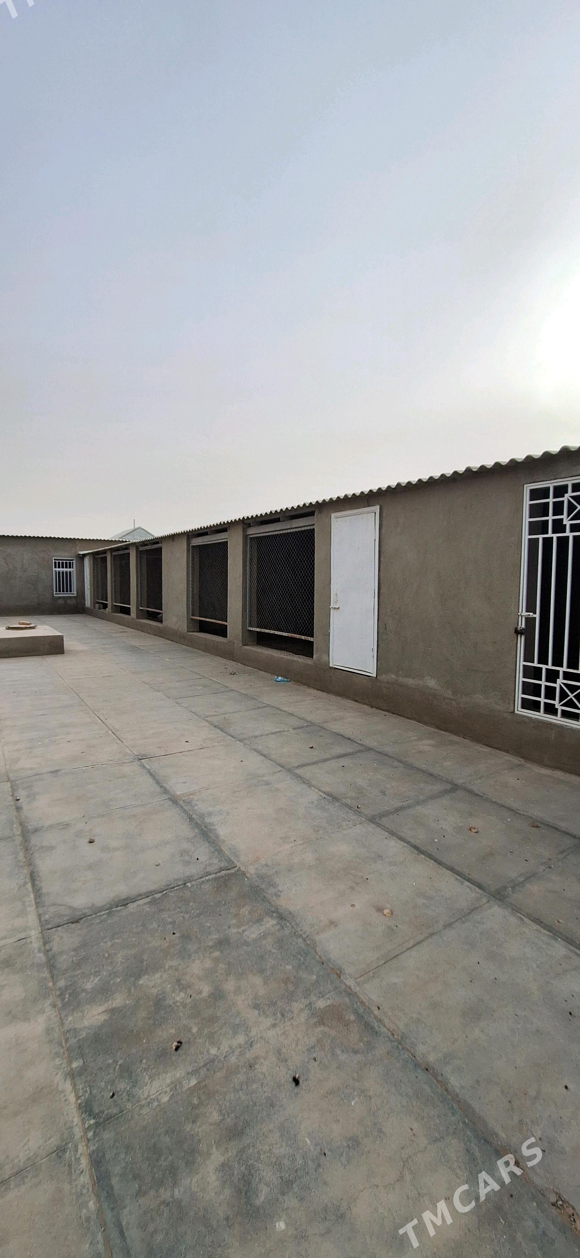 Jay satlyk - Теджен - img 2