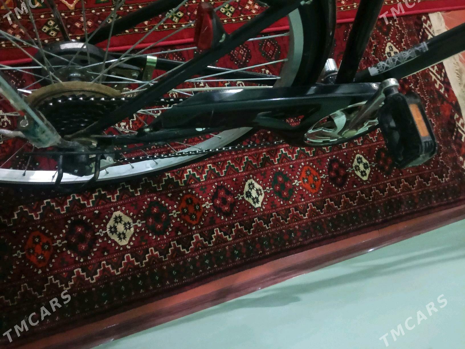 welsepit - Векильбазар - img 3