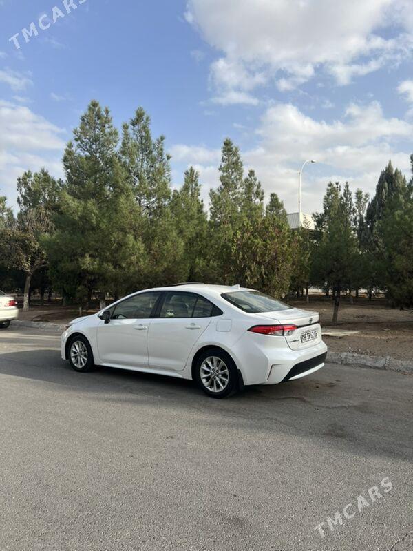 Toyota Corolla 2020 - 245 000 TMT - Ашхабад - img 6