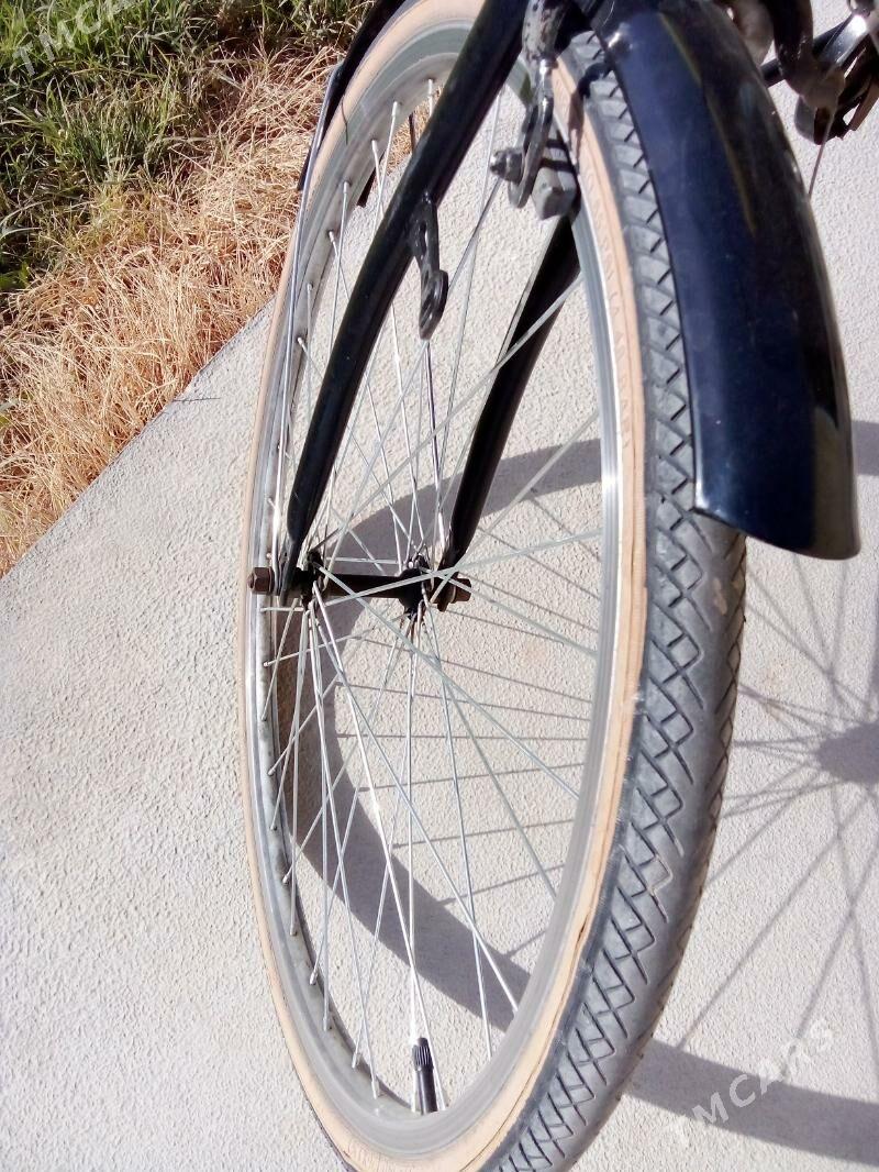 Satlyk diska - Mary - img 2