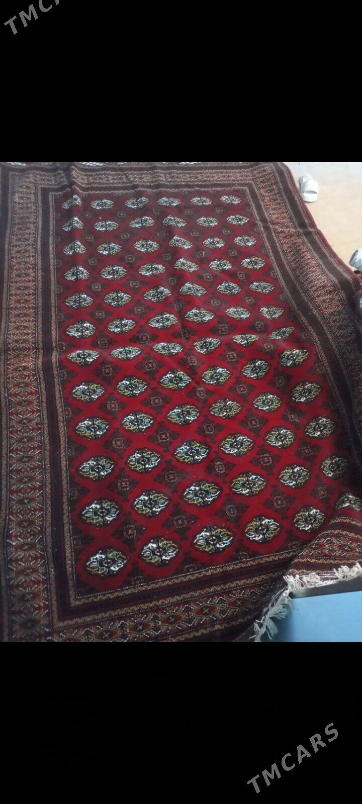 Haly - Мир 7 - img 3