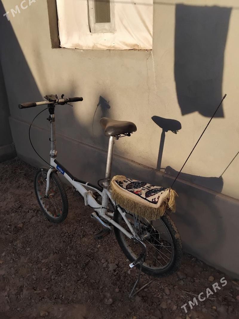 tigir - Гурбансолтан Едже - img 3