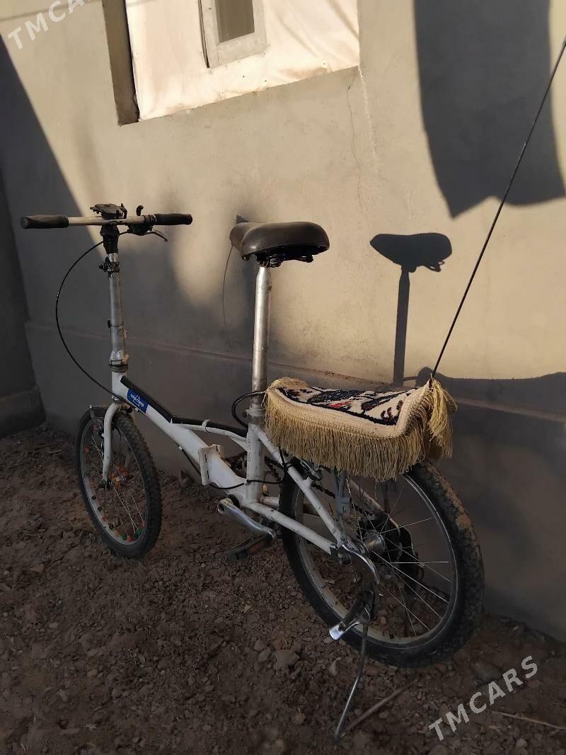 tigir - Гурбансолтан Едже - img 1